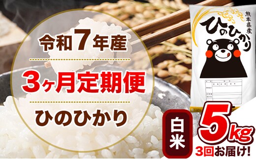 令和7年産 【3ヵ月定期便】白米 ひのひかり 定期便 5kg 5kg×1袋《お申込み翌月から出荷》 熊本県産 精米 ひの 米 こめ ヒノヒカリ コメ お米---hn7tei_33000_5kg_mo3_tn_h---