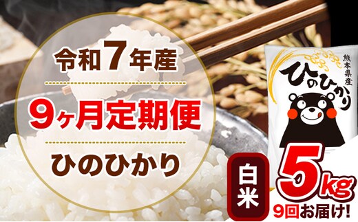令和7年産【9ヵ月定期便】白米 ひのひかり 計9回お届け 5kg 5kg×1袋《お申込み翌月から出荷》 熊本県産 精米 ひの 米 こめ ヒノヒカリ コメ お米 津奈木---hn7tei_112500_5kg_mo9_tn_h---