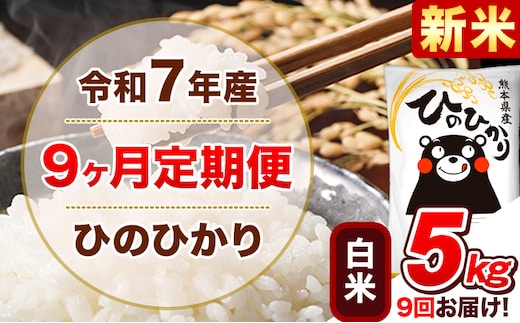 新米 令和7年産【9ヵ月定期便】白米 ひのひかり 計9回お届け 5kg 5kg×1袋《お申込み翌月から出荷》 熊本県産 精米 ひの 米 こめ ヒノヒカリ コメ お米 津奈木---hn7tei_112500_5kg_mo9_tn_h---