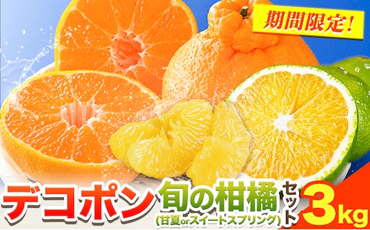 デコポン 2kg 旬の柑橘 1kg 詰め合わせ セット 合計 3kg 《2月中旬-4月上旬頃出荷》熊本県 津奈木町 デコポン でこぽん 甘夏 スイートスプリング みかん 柑橘 期間限定---tn_dekoset_g24_r8_11000_3kg---