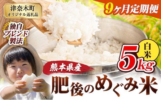 【9ヶ月定期便】白米 熊本県産 ブレンド米 肥後のめぐみ米 5kg 熊本県産 ふるさと納税 精米 米 こめ ふるさとのうぜい コメ お米 おこめ《お申込み翌月から出荷》---tn_hmgtei_103500_5kg_h_mo9---