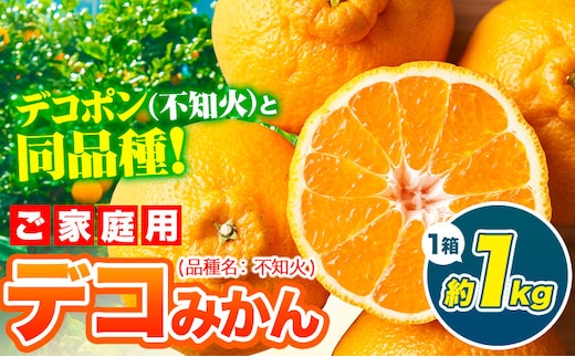 デコポン ( 不知火 )と同品種！デコみかん 熊本県産 (津奈木町産含む) 訳あり 約1kg前後 柑橘《2月中旬-4月末頃出荷》 みかん フルーツ 不知火 先行予約 訳あり 訳アリ ご家庭用 でこみかん 果物 予約受付---tn_dkmkn_2c4m_r7_5000_1kg---