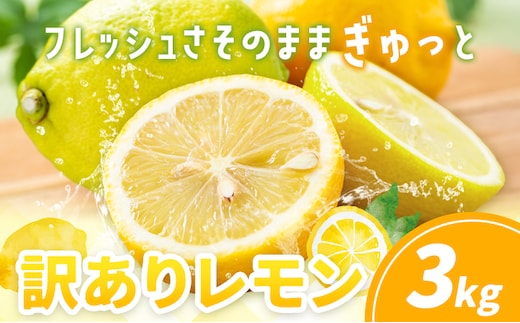 訳あり レモン 3kg《10月上旬-12月下旬頃出荷》熊本県 津奈木町 青果物 レモン れもん 果物 フルーツ 国産 家庭用---tn_wkle_ak1012_26_5000_3kg---