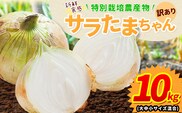 訳あり サラたまちゃん 新玉ねぎ 10kg 《2026年4月中旬~5月末頃出荷予定》熊本県 葦北郡 津奈木町 野菜 たまねぎ エコファーマー 大中小サイズ混合 特産品 サラたまちゃん サラダ玉ねぎ 玉ねぎ タマネギ---tn_wsnt_bc4_r7_8000_10kgs---