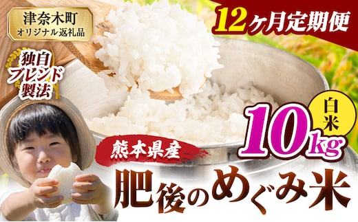 【12ヶ月定期便】白米 熊本県産 ブレンド米 肥後のめぐみ米 10kg 熊本県産 ふるさと納税 精米 米 こめ ふるさとのうぜい コメ お米 おこめ《お申込み翌月から出荷》---tn_hmgtei_270000_10kgh_mo12---