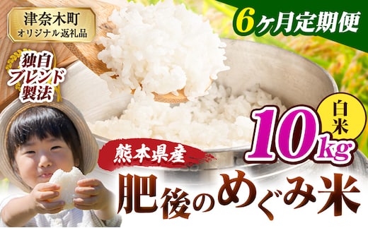 【6ヶ月定期便】白米 熊本県産 ブレンド米 肥後のめぐみ米 10kg 熊本県産 ふるさと納税 精米 米 こめ ふるさとのうぜい コメ お米 おこめ《お申込み翌月から出荷》---tn_hmgtei_123000_10kgh_mo6---