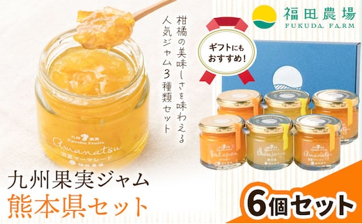 九州果実ジャム 熊本県セット 6個セット デコポンジャム 甘夏マーマレード 晩白柚ジャム 1個あたり120g《30日以内に出荷予定(土日祝日除く)》熊本県 水俣市 津奈木町 福田農場 ジャム マーマレード 柑橘 セット---st_hnmjm_30d_r7_15500_720g---