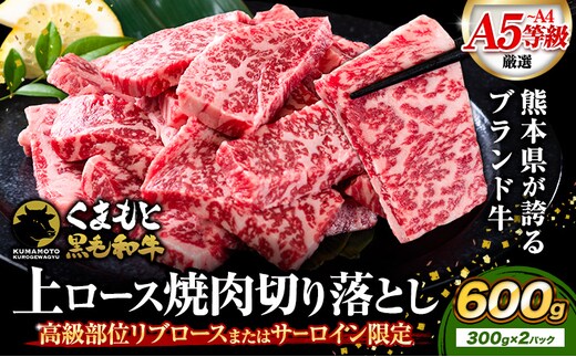 くまもと黒毛和牛 上 ロース 焼肉 切り落とし 600g《7-14日以内に出荷予定(土日祝除く)》熊本県 津奈木町 上ロース 焼肉用 黒毛和牛 焼肉 肉 お肉 和牛 A5 A4 300g 小分け リブロース サーロイン A4～A5等級 黒毛和牛 切り落とし---tn_fzyoursyk_7e14e_26_17000_600g---