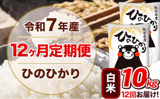 令和7年産【12ヵ月定期便】白米 ひのひかり 定期便 10kg 5kg×2袋《お申込み翌月から出荷》 熊本県産 精米 ひの 米 こめ ヒノヒカリ コメ お米---hn7tei_258000_10kg_mo12_tn_h---