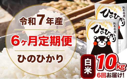 令和7年産 【6ヵ月定期便】白米 ひのひかり 定期便 10kg 5kg×2袋《お申込み翌月から出荷》 熊本県産 精米 ひの 米 こめ ヒノヒカリ コメ お米---hn7tei_129000_10kg_mo6_tn_h---