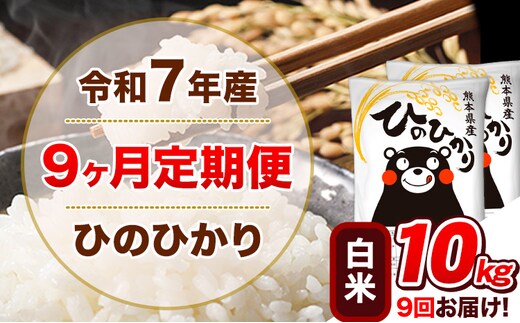令和7年産【9ヵ月定期便】白米 ひのひかり 計9回お届け 10kg 5kg×2袋《お申込み翌月から出荷》 熊本県産 精米 ひの 米 こめ ヒノヒカリ コメ お米 津奈木---hn7tei_220500_10kg_mo9_tn_h---
