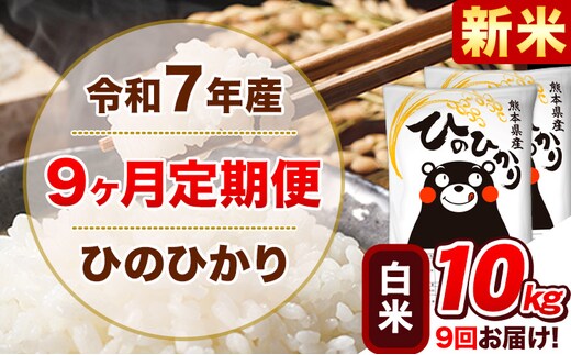 新米 令和7年産【9ヵ月定期便】白米 ひのひかり 計9回お届け 10kg 5kg×2袋《お申込み翌月から出荷》 熊本県産 精米 ひの 米 こめ ヒノヒカリ コメ お米 津奈木---hn7tei_220500_10kg_mo9_tn_h---