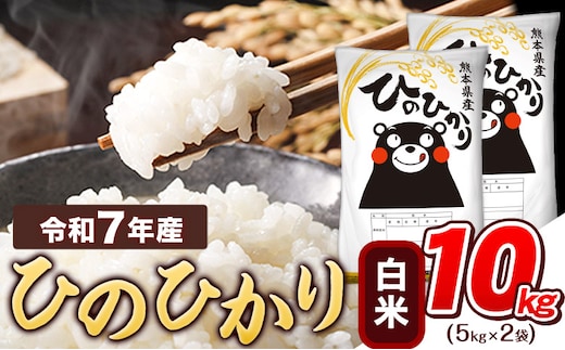米 令和7年産 白米 ひのひかり 10kg 《7-14日以内に出荷予定(土日祝除く)》令和7年産 熊本県産 ふるさと納税 精米 ひの 米 こめ ふるさとのうぜい ヒノヒカリ コメ お米 米 白米 お米 米 白米 お米 米 白米 お米 米 白米 ---tn_hn7_wx_24500_10kg_h---