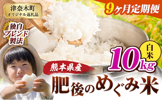 【9ヶ月定期便】白米 熊本県産 ブレンド米 肥後のめぐみ米 10kg 熊本県産 ふるさと納税 精米 米 こめ ふるさとのうぜい コメ お米 おこめ《お申込み翌月から出荷》---tn_hmgtei_202500_10kg_h_mo9---