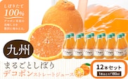 九州まるごとしぼり デコポン ストレートジュース 12本セット 1本あたり180ml《30日以内に出荷予定(土日祝除く)》熊本県 水俣市 津奈木町 福田農場 ジュース 柑橘 セット 果汁100%---st_hnmsdk_30d_r7_14000_12p---