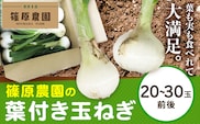葉付き玉ねぎ 20～30玉前後 篠原農園《1月上旬-3月上旬頃出荷》熊本県 葦北郡 津奈木町 野菜 たまねぎ バーベキュー ホイル焼き---st_shinohtama_ad13_r7_12500_10kg---