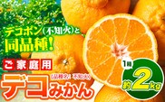 デコポン ( 不知火 )と同品種！デコみかん 熊本県産 (津奈木町産含む) 訳あり 約2kg前後 柑橘《3-7日以内に出荷予定(土日祝除く)》 みかん フルーツ 不知火 先行予約 訳あり 訳アリ ご家庭用 でこみかん 果物 予約受付---tn_cdkmkn_u_r8_7500_2kg---