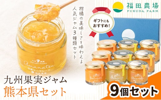 九州果実ジャム 熊本県セット 9個セット デコポンジャム 甘夏マーマレード 晩白柚ジャム 1個あたり120g《30日以内に出荷予定(土日祝日除く)》熊本県 水俣市 津奈木町 福田農場 ジャム マーマレード 柑橘 セット---st_hnmjm_30d_r7_21500_1080g---