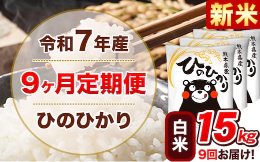 新米 令和7年産【9ヵ月定期便】白米 ひのひかり 計9回お届け 15kg 5kg×3袋《お申込み翌月から出荷》 熊本県産 精米 ひの 米 こめ ヒノヒカリ コメ お米 津奈木---hn7tei_328500_15kg_mo9_tn_h---