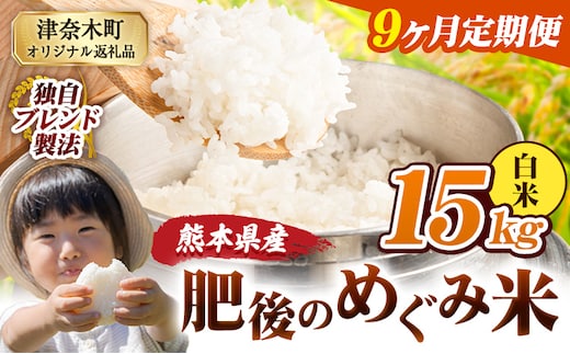 【9ヶ月定期便】白米 熊本県産 ブレンド米 肥後のめぐみ米 15kg 熊本県産 ふるさと納税 精米 米 こめ ふるさとのうぜい コメ お米 おこめ《お申込み翌月から出荷》---tn_hmgtei_301500_15kg_h_mo9---