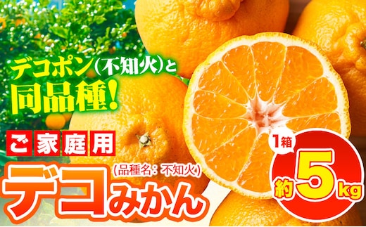 デコポン ( 不知火 )と同品種！デコみかん 熊本県産 (津奈木町産含む) 訳あり 約5kg前後(12-24玉前後) 柑橘《2月中旬-4月末頃出荷》 みかん フルーツ 不知火 先行予約 訳あり 訳アリ ご家庭用 でこみかん 果物 予約受付---tn_dkmkn_2c4m_r7_13000_5kg---