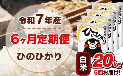 令和7年産【6ヵ月定期便】白米 ひのひかり 定期便 20kg 5kg×4袋《お申込み翌月から出荷》 熊本県産 精米 ひの 米 こめ ヒノヒカリ コメ お米---hn7tei_255000_20kg_mo6_tn_h---