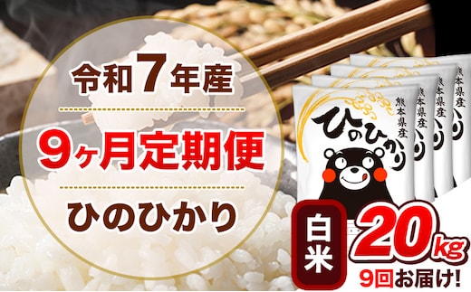 令和7年産【9ヵ月定期便】白米 ひのひかり 計9回お届け 20kg 5kg×4袋《お申込み翌月から出荷》 熊本県産 精米 ひの 米 こめ ヒノヒカリ コメ お米 津奈木---hn7tei_436500_20kg_mo9_tn_h---