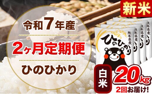 新米 令和7年産【2ヵ月定期便】白米 ひのひかり 計2回お届け 20kg 5kg×4袋《お申込み翌月から出荷》 熊本県産 精米 ひの 米 こめ ヒノヒカリ コメ お米 津奈木---hn7tei_97000_20kg_mo2_tn_h---