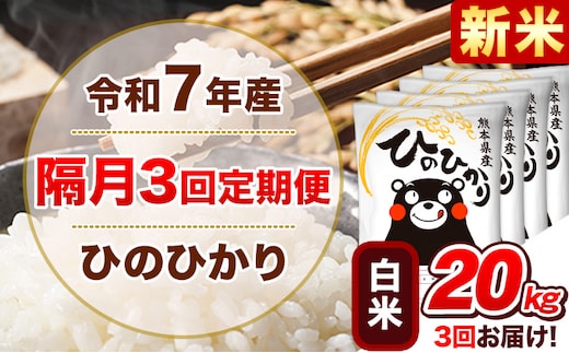 新米 令和7年産【隔月3回定期便】白米 ひのひかり【2ヶ月に1回届く】 20kg 5kg×4袋《お申込み翌月から出荷》 熊本県産 精米 ひの 米 こめ ヒノヒカリ コメ お米 津奈木---hn7tei_145500_20kg_ev2mo3_tn_h---