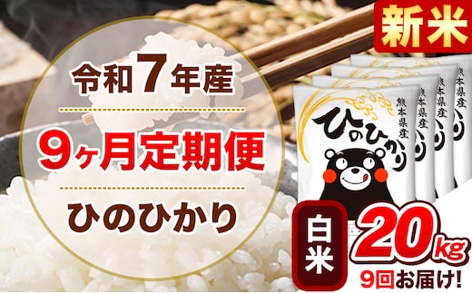 新米 令和7年産【9ヵ月定期便】白米 ひのひかり 計9回お届け 20kg 5kg×4袋《お申込み翌月から出荷》 熊本県産 精米 ひの 米 こめ ヒノヒカリ コメ お米 津奈木---hn7tei_436500_20kg_mo9_tn_h---
