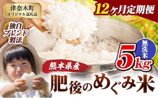 【12ヶ月定期便】無洗米 熊本県産 ブレンド米 肥後のめぐみ米 5kg 熊本県産 ふるさと納税 精米 米 こめ ふるさとのうぜい コメ お米 おこめ《11月から出荷開始》---tn_hmgtei_138000_5kg_m_nov12---