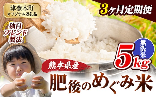 【3ヶ月定期便】無洗米 熊本県産 ブレンド米 肥後のめぐみ米 5kg 熊本県産 ふるさと納税 精米 米 こめ ふるさとのうぜい コメ お米 おこめ《お申込み翌月から出荷》---tn_hmgtei_34500_5kgm_mo3---