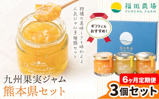 九州果実ジャム 熊本県セット 3個セット 6ヶ月定期便 デコポンジャム 甘夏マーマレード 晩白柚ジャム 1個あたり120g《お申込み月の翌月から出荷開始》熊本県 水俣市 津奈木町 福田農場 ジャム マーマレード 柑橘 セット---st_hnmtei_r7_52000_mo6num1---