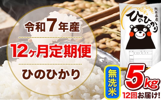 令和7年産 【12ヵ月定期便】無洗米 ひのひかり 定期便 5kg 5kg×1袋《お申込み翌月から出荷》 熊本県産 精米 ひの 米 こめ ヒノヒカリ コメ お米---hn7tei_132000_5kg_mo12_tn_m---