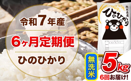 令和7年産 【6ヵ月定期便】無洗米 ひのひかり 定期便 5kg 5kg×1袋《お申込み翌月から出荷》 熊本県産 精米 ひの 米 こめ ヒノヒカリ コメ お米---hn7tei_66000_5kg_mo6_tn_m---