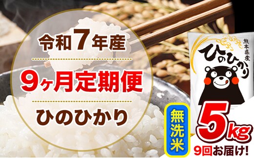 令和7年産【9ヵ月定期便】無洗米 ひのひかり 計9回お届け 5kg 5kg×1袋《お申込み翌月から出荷》 熊本県産 ひの 米 こめ ヒノヒカリ コメ お米 津奈木---hn7tei_112500_5kg_mo9_tn_m---
