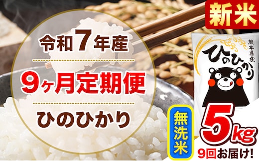 新米 令和7年産【9ヵ月定期便】無洗米 ひのひかり 計9回お届け 5kg 5kg×1袋《お申込み翌月から出荷》 熊本県産 ひの 米 こめ ヒノヒカリ コメ お米 津奈木---hn7tei_112500_5kg_mo9_tn_m---
