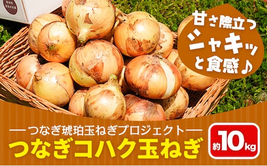 玉ねぎ つなぎコハク玉ねぎ 約10kg《4月中旬-5月中旬出荷》熊本県 葦北郡 津奈木町 つなぎ琥珀玉ねぎプロジェクト 野菜 たまねぎ---st_tktptg_q4_r7_13500_10kg---