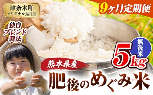 【9ヶ月定期便】無洗米 熊本県産 ブレンド米 肥後のめぐみ米 5kg 熊本県産 ふるさと納税 米 こめ ふるさとのうぜい コメ お米 おこめ《お申込み翌月から出荷》---tn_hmgtei_103500_5kg_m_mo9---