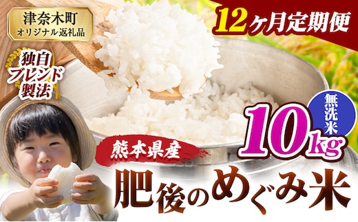 【12ヶ月定期便】無洗米 熊本県産 ブレンド米 肥後のめぐみ米 10kg 熊本県産 ふるさと納税 精米 米 こめ ふるさとのうぜい コメ お米 おこめ《お申込み翌月から出荷》---tn_hmgtei_270000_10kgm_mo12---