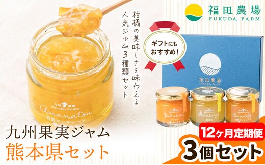 九州果実ジャム 熊本県セット 3個セット 12ヶ月定期便 デコポンジャム 甘夏マーマレード 晩白柚ジャム 1個あたり120g《お申込み月の翌月から出荷開始》熊本県 水俣市 津奈木町 福田農場 ジャム マーマレード 柑橘 セット---st_hnmtei_r7_96000_mo12num1---