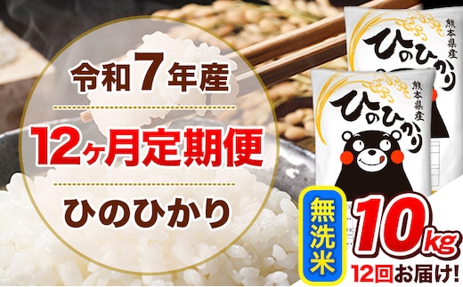 令和7年産【12ヵ月定期便】無洗米 ひのひかり 定期便 10kg 5kg×2袋《お申込み翌月から出荷》 熊本県産 精米 ひの 米 こめ ヒノヒカリ コメ お米---hn7tei_258000_10kg_mo12_tn_m---