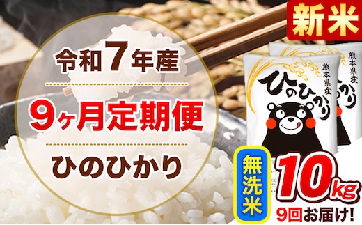 新米 令和7年産【9ヵ月定期便】無洗米 ひのひかり 計9回お届け 10kg 5kg×2袋《お申込み翌月から出荷》 熊本県産 ひの 米 こめ ヒノヒカリ コメ お米 津奈木---hn7tei_220500_10kg_mo9_tn_m---