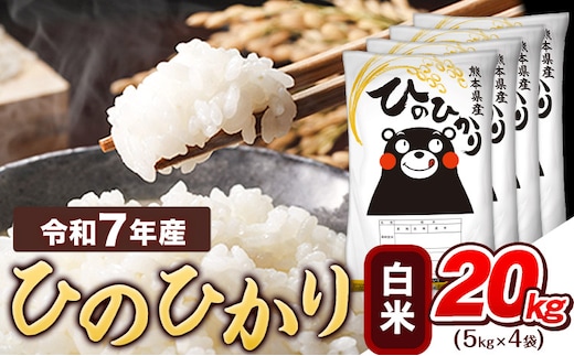 令和7年産 白米 ひのひかり 20kg 《7-14日以内に出荷予定(土日祝除く)》令和7年産 熊本県産 ふるさと納税 精米 ひの 米 こめ ふるさとのうぜい ヒノヒカリ コメ お米 おこめ---tn_hn7_wx_48500_20kg_h---