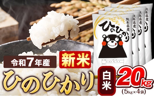 新米 令和7年産 白米 ひのひかり 20kg 《7-14日以内に出荷予定(土日祝除く)》令和7年産 熊本県産 ふるさと納税 精米 ひの 米 こめ ふるさとのうぜい ヒノヒカリ コメ お米 おこめ---tn_hn7_wx_48500_20kg_h---