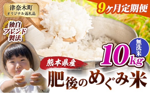 【9ヶ月定期便】無洗米 熊本県産 ブレンド米 肥後のめぐみ米 10kg 熊本県産 ふるさと納税 米 こめ ふるさとのうぜい コメ お米 おこめ《お申込み翌月から出荷》---tn_hmgtei_202500_10kg_m_mo9---