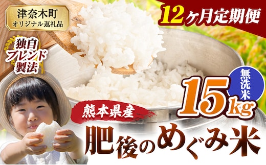 【12ヶ月定期便】無洗米 熊本県産 ブレンド米 肥後のめぐみ米 15kg 熊本県産 ふるさと納税 精米 米 こめ ふるさとのうぜい コメ お米 おこめ《お申込み翌月から出荷》---tn_hmgtei_402000_15kgm_mo12---