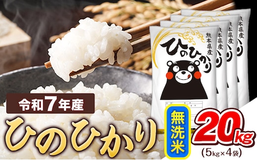 令和7年産 無洗米 ひのひかり 20kg 《7-14日以内に出荷予定(土日祝除く)》令和7年産 熊本県産 ふるさと納税 精米 ひの 米 こめ ふるさとのうぜい ヒノヒカリ コメ お米 おこめ---tn_hn7_wx_48500_20kg_m---