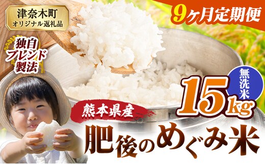 【9ヶ月定期便】無洗米 熊本県産 ブレンド米 肥後のめぐみ米 15kg 熊本県産 ふるさと納税 米 こめ ふるさとのうぜい コメ お米 おこめ《お申込み翌月から出荷》---tn_hmgtei_301500_15kg_m_mo9---