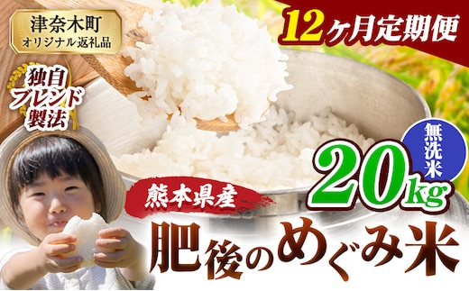 【12ヶ月定期便】無洗米 熊本県産 ブレンド米 肥後のめぐみ米 20kg 熊本県産 ふるさと納税 精米 米 こめ ふるさとのうぜい コメ お米 おこめ《お申込み翌月から出荷》---tn_hmgtei_534000_20kgm_mo12---